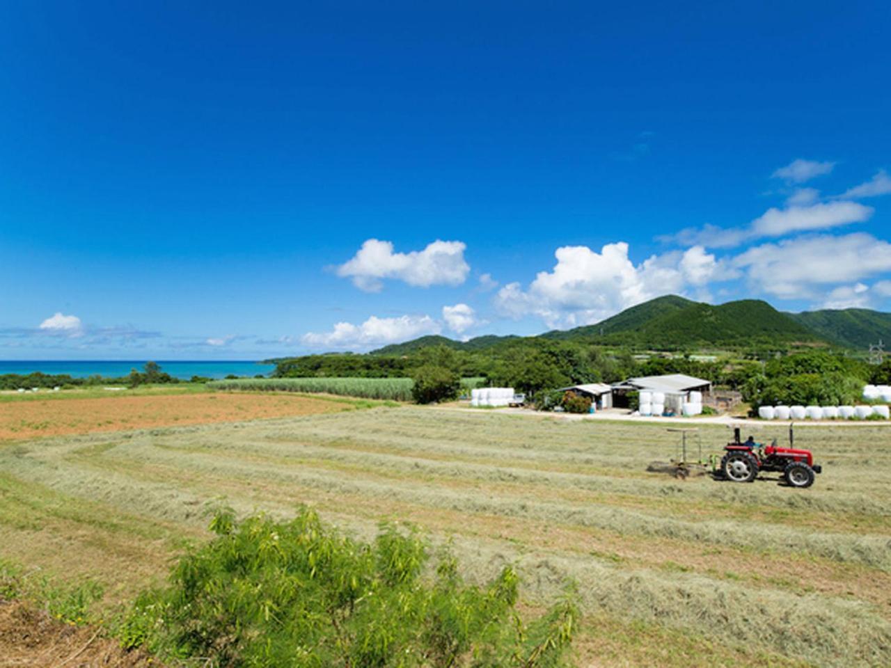 石垣岛太阳绿草酒店 Ishigaki  外观 照片